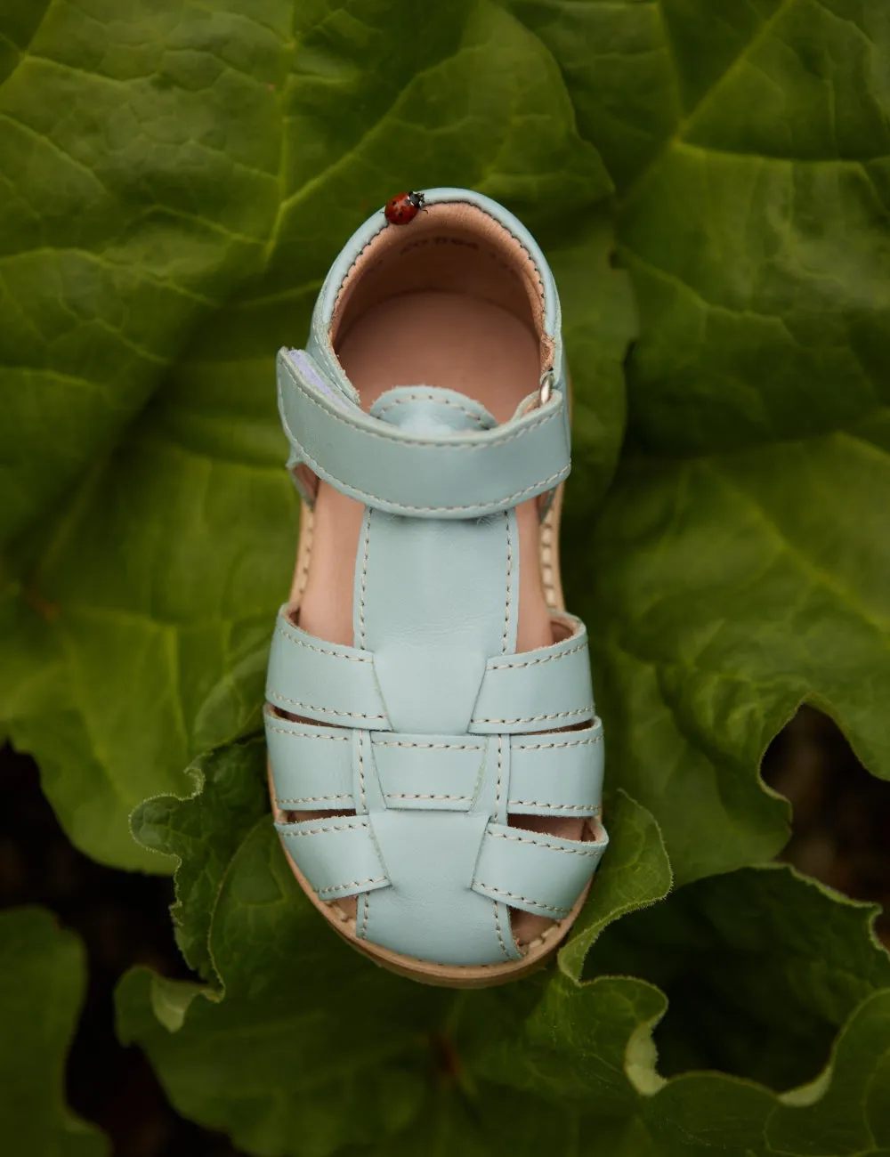 Classic Sandal - Ocean