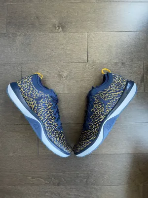 Jordan Trainer 1 Michigan PROMO
