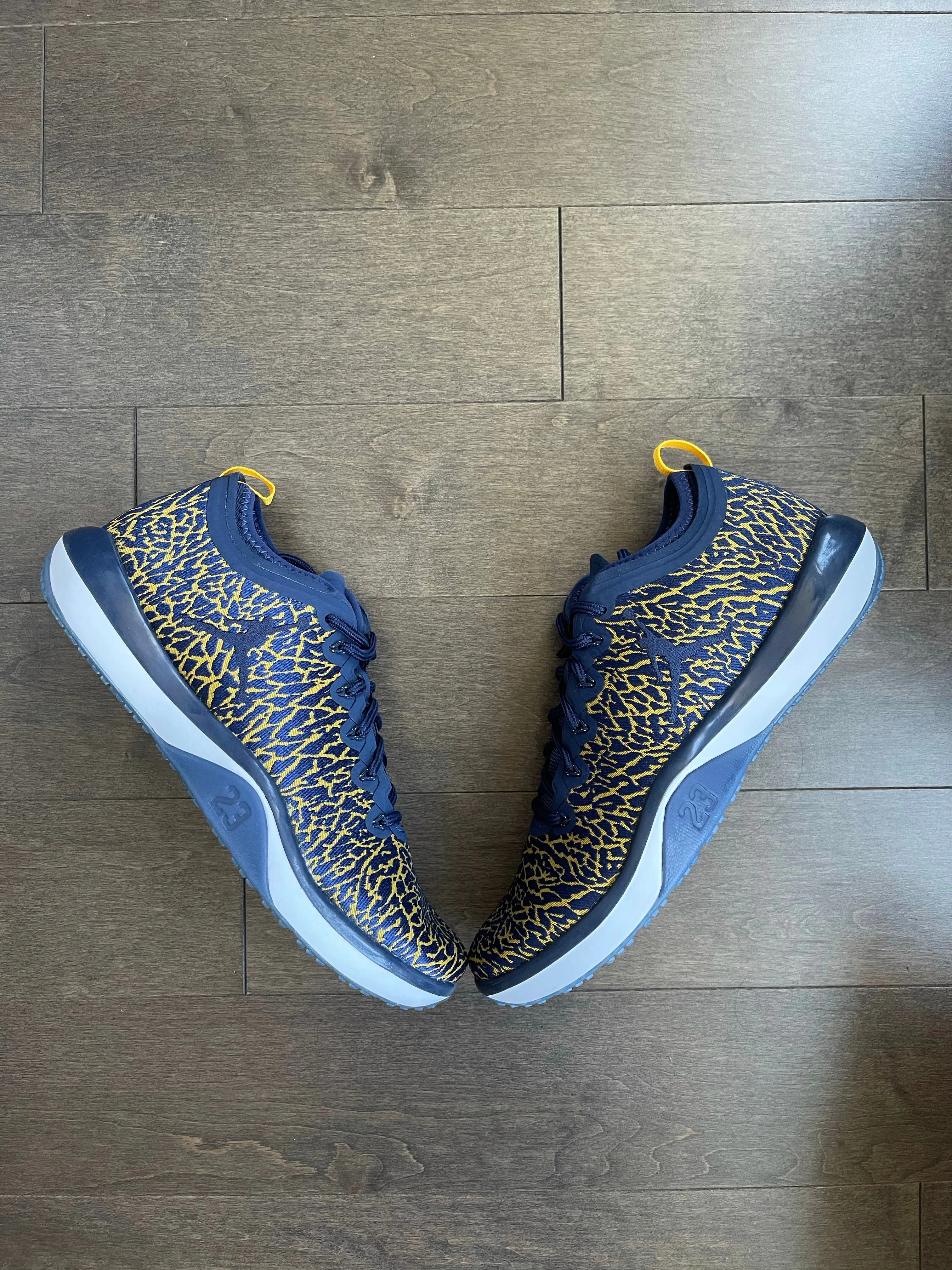 Jordan Trainer 1 Michigan PROMO