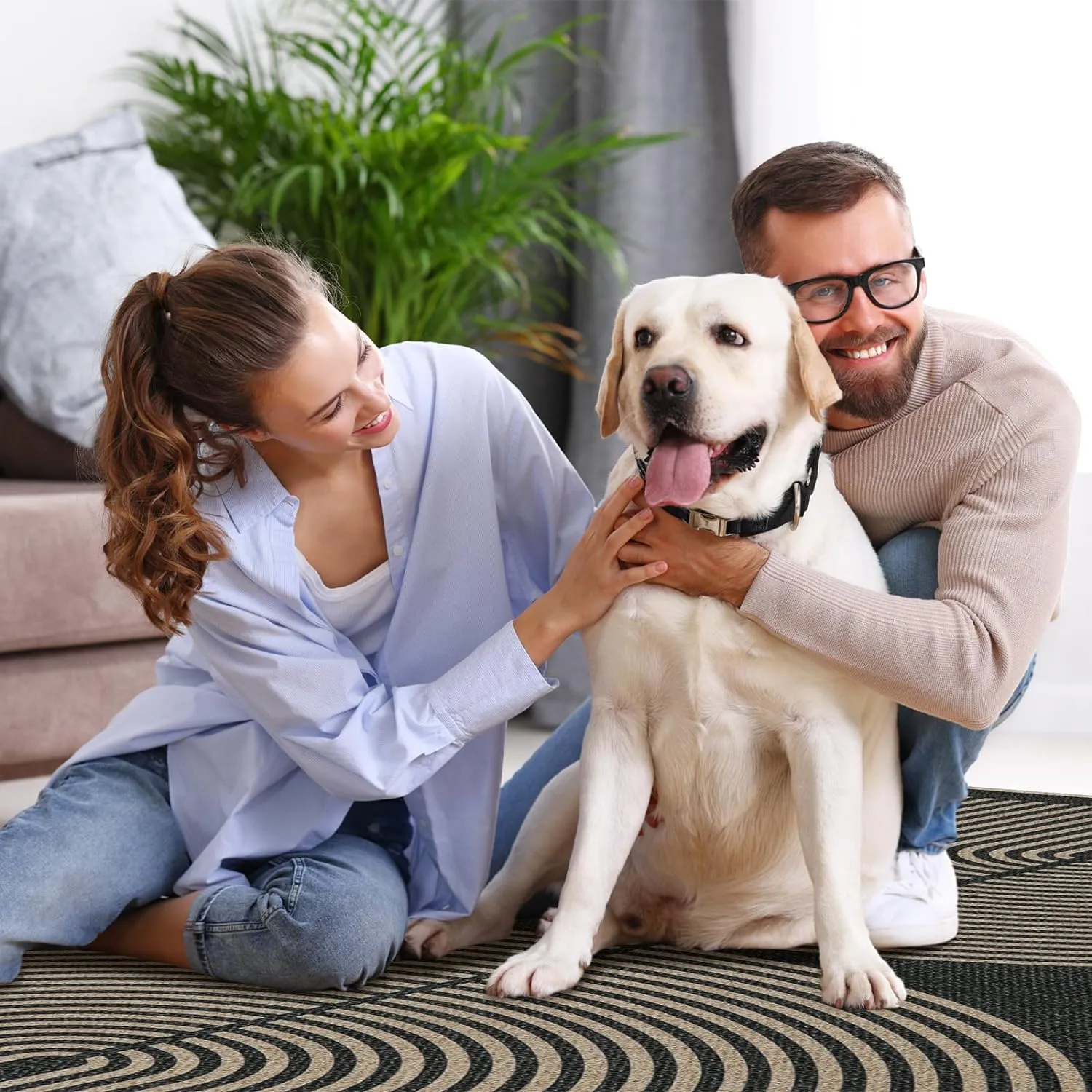 Lahome Modern Rainbow Easy Jute Rug, 6x9 Area Rugs for Living Room Outdoor Patio Washable Indoor Outdoor Dining Room Carpet, Farmhouse Large Non Slip Carpet for Bedromm Backyard Office