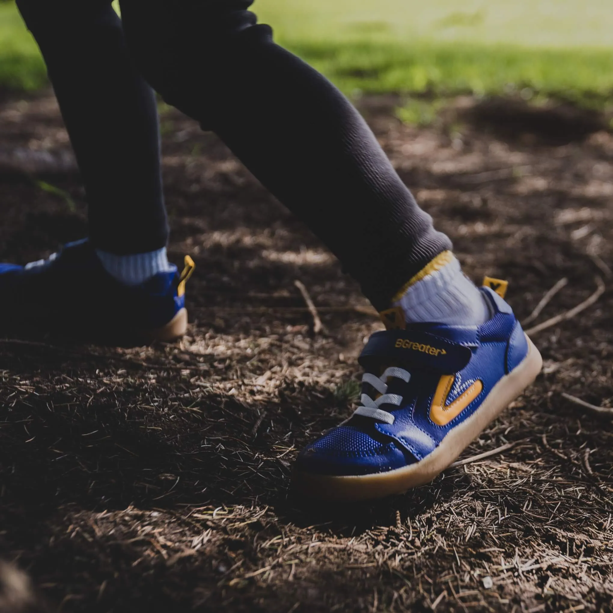 Levison - Royal blue