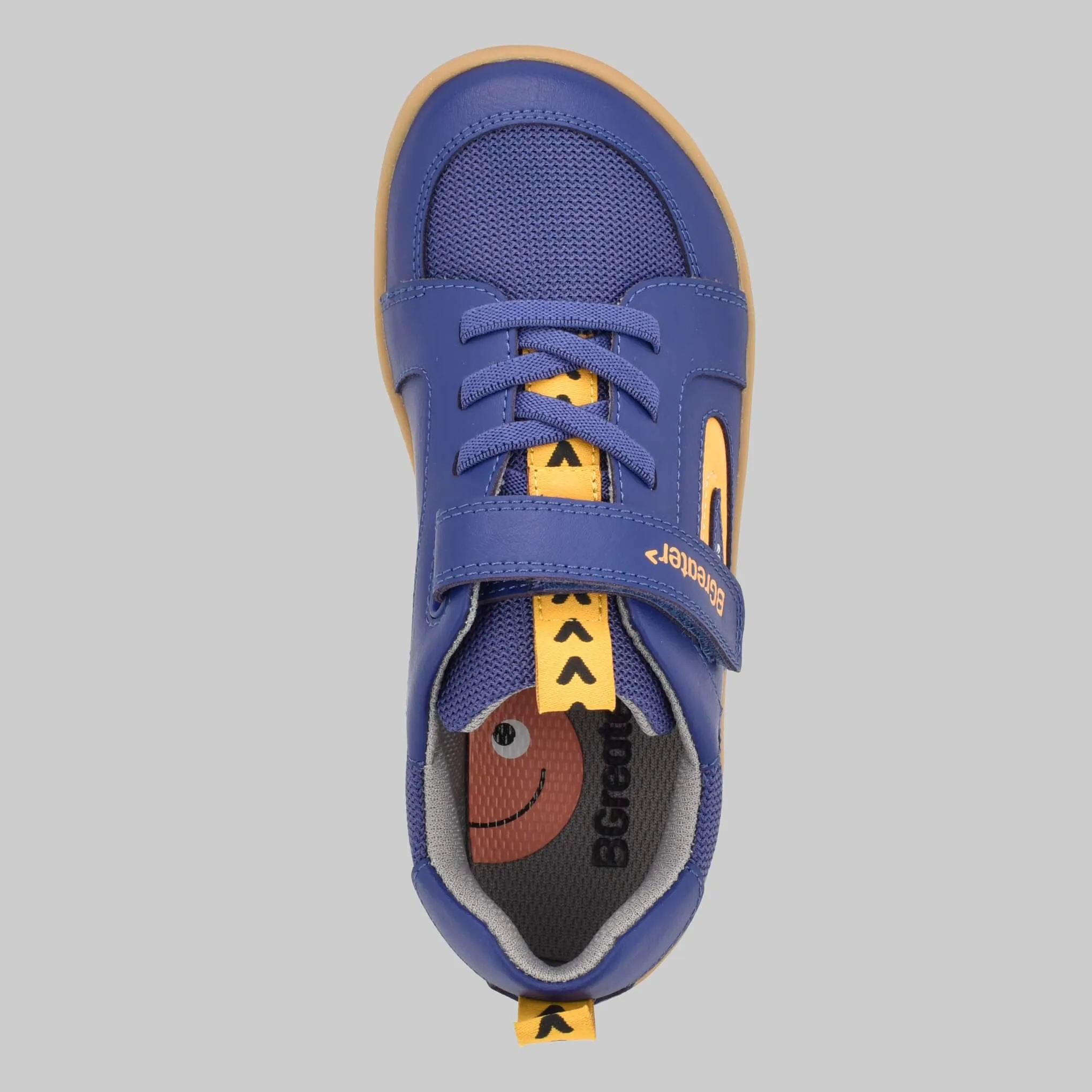 Levison - Royal blue