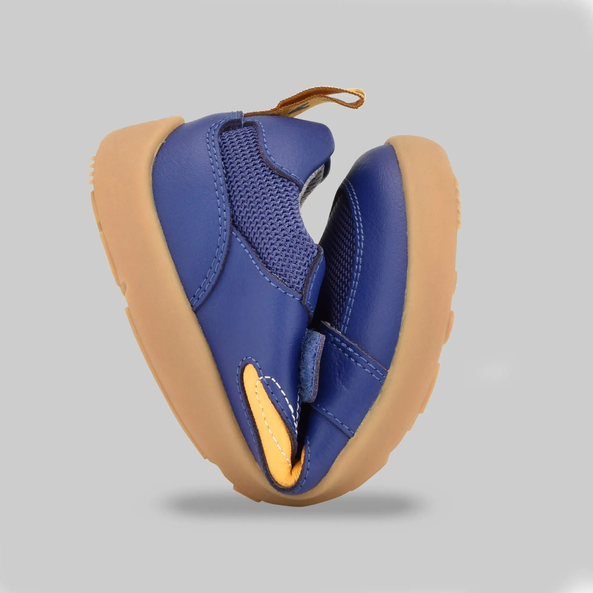 Levison - Royal blue