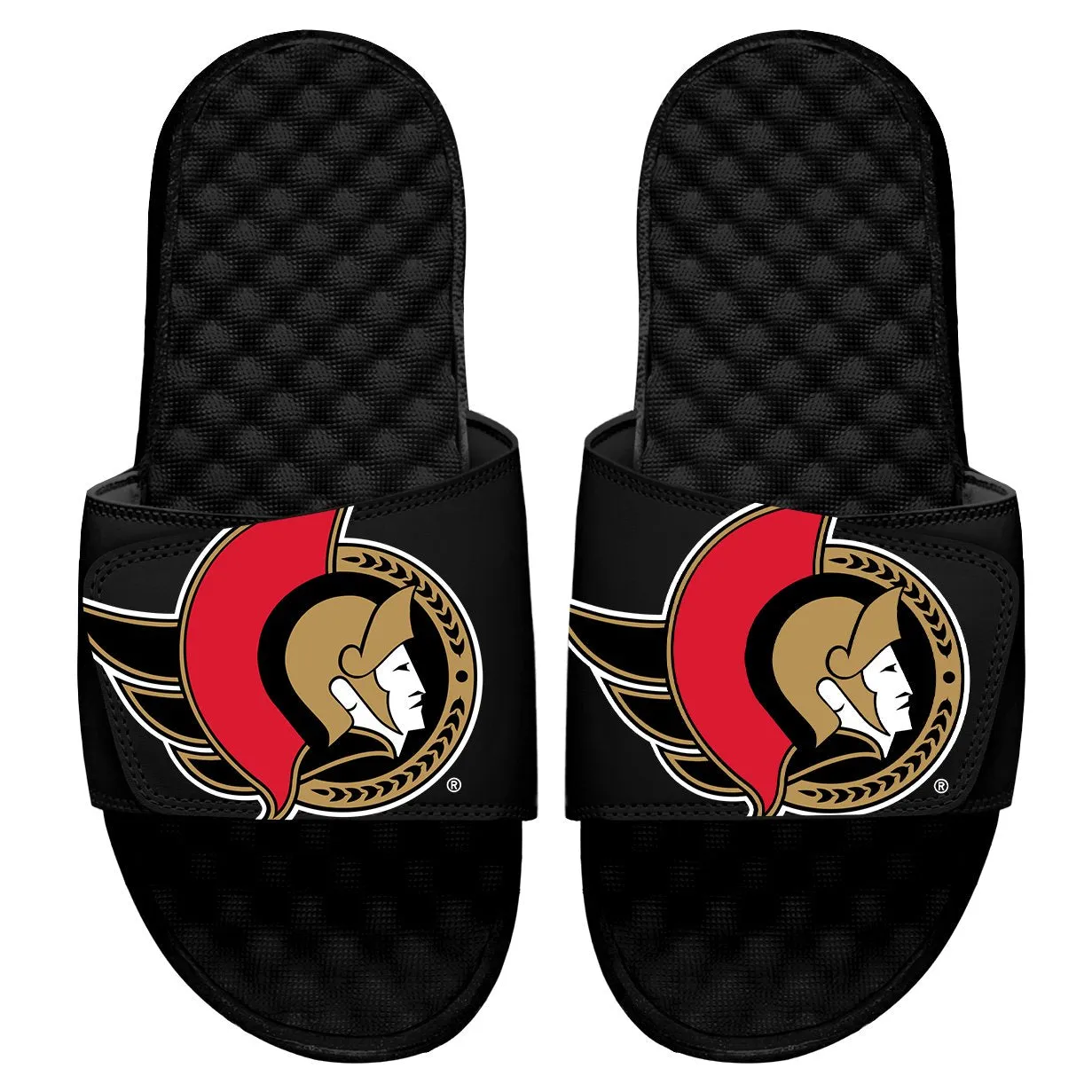 Ottawa Senators Blown Up